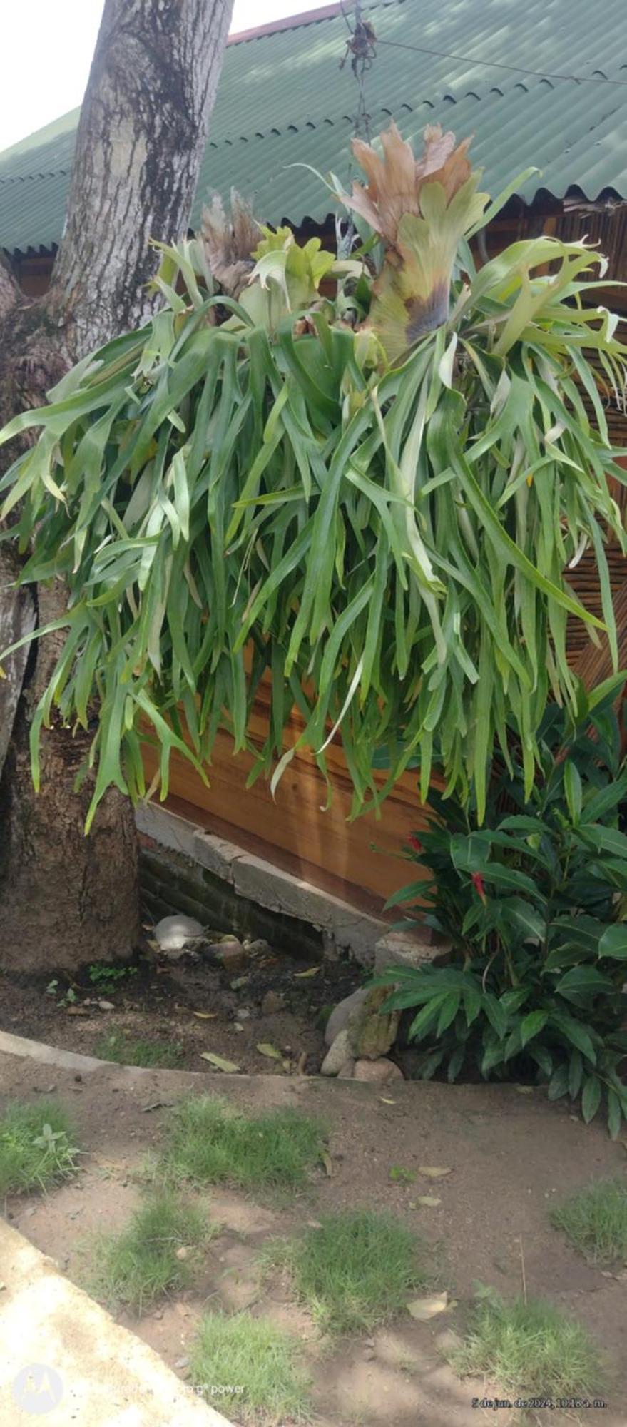 エル・ザイノ Casa Kumake Tayronaヴィラ エクステリア 写真