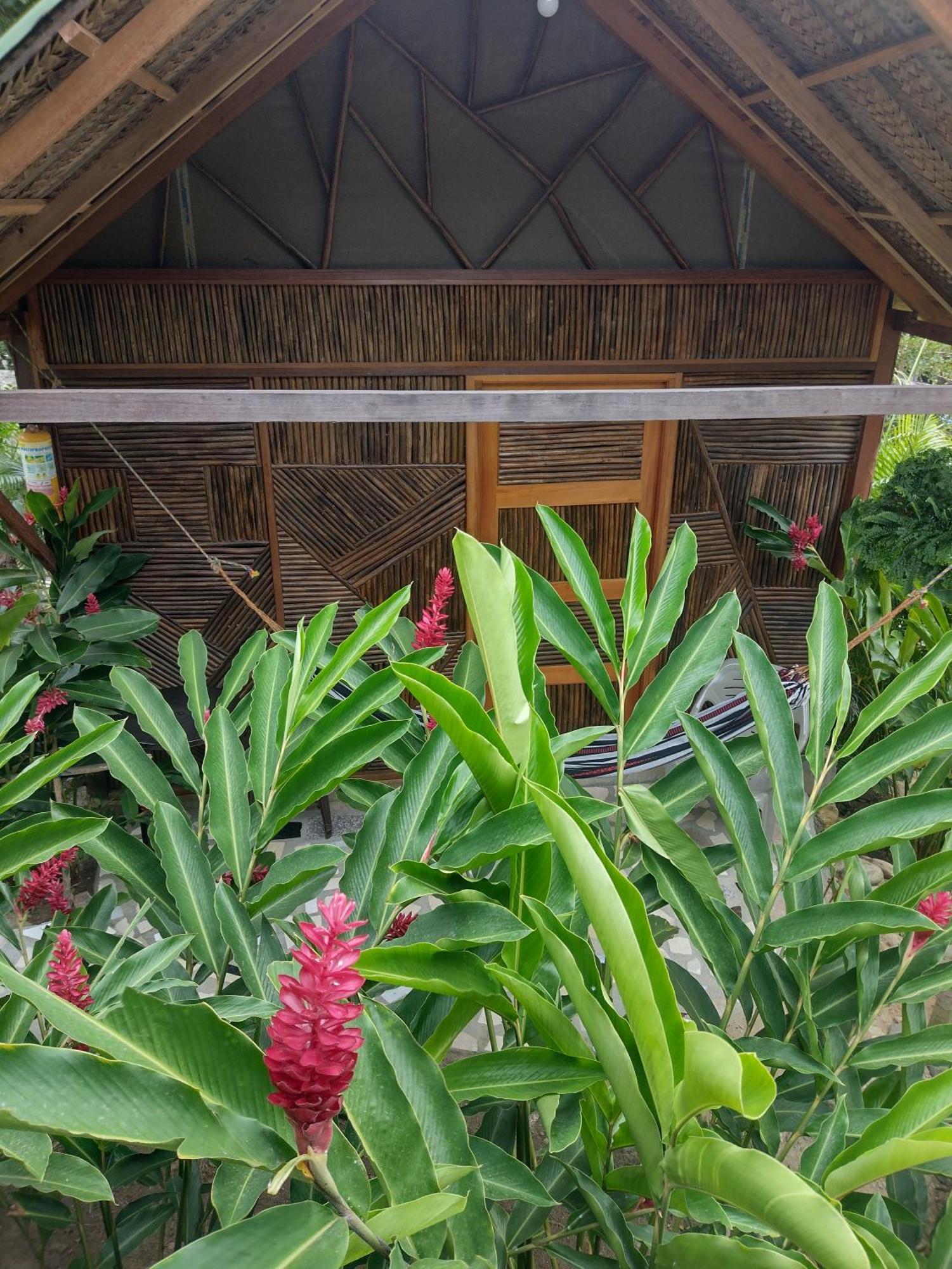 エル・ザイノ Casa Kumake Tayronaヴィラ エクステリア 写真