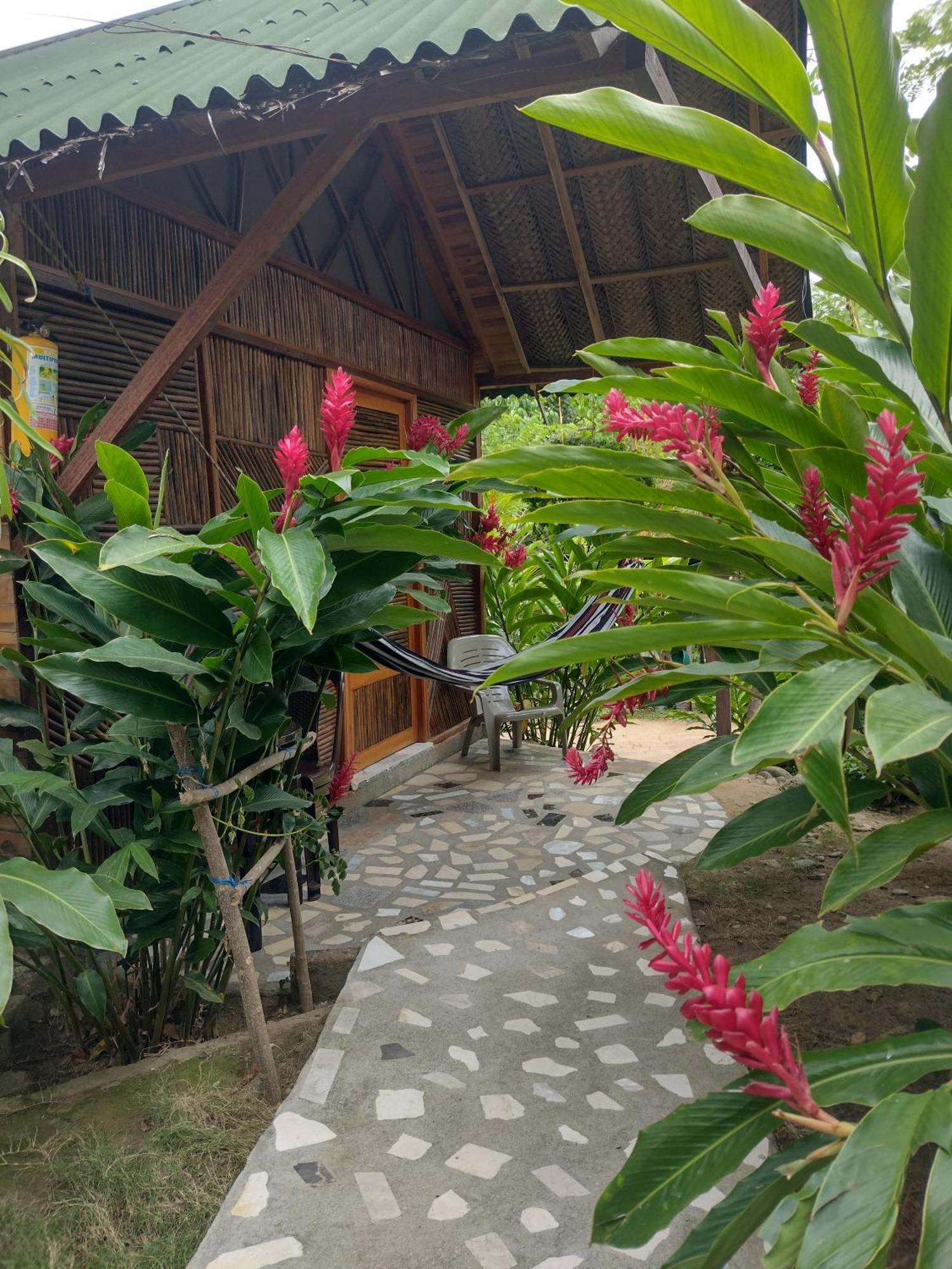 エル・ザイノ Casa Kumake Tayronaヴィラ エクステリア 写真